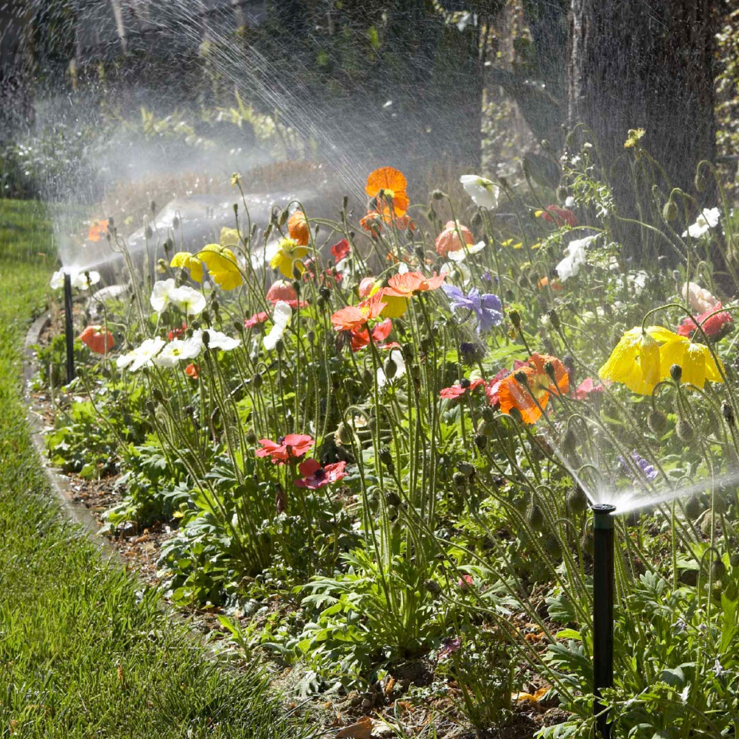 Hunter Pro 4" Pop Up Sprinkler Head, Adjustable 0°–360° Spray Pattern, 8'–15' Coverage, In-Ground Lawn Irrigation System, Sprinkler Head for Yard and Garden - Image 4